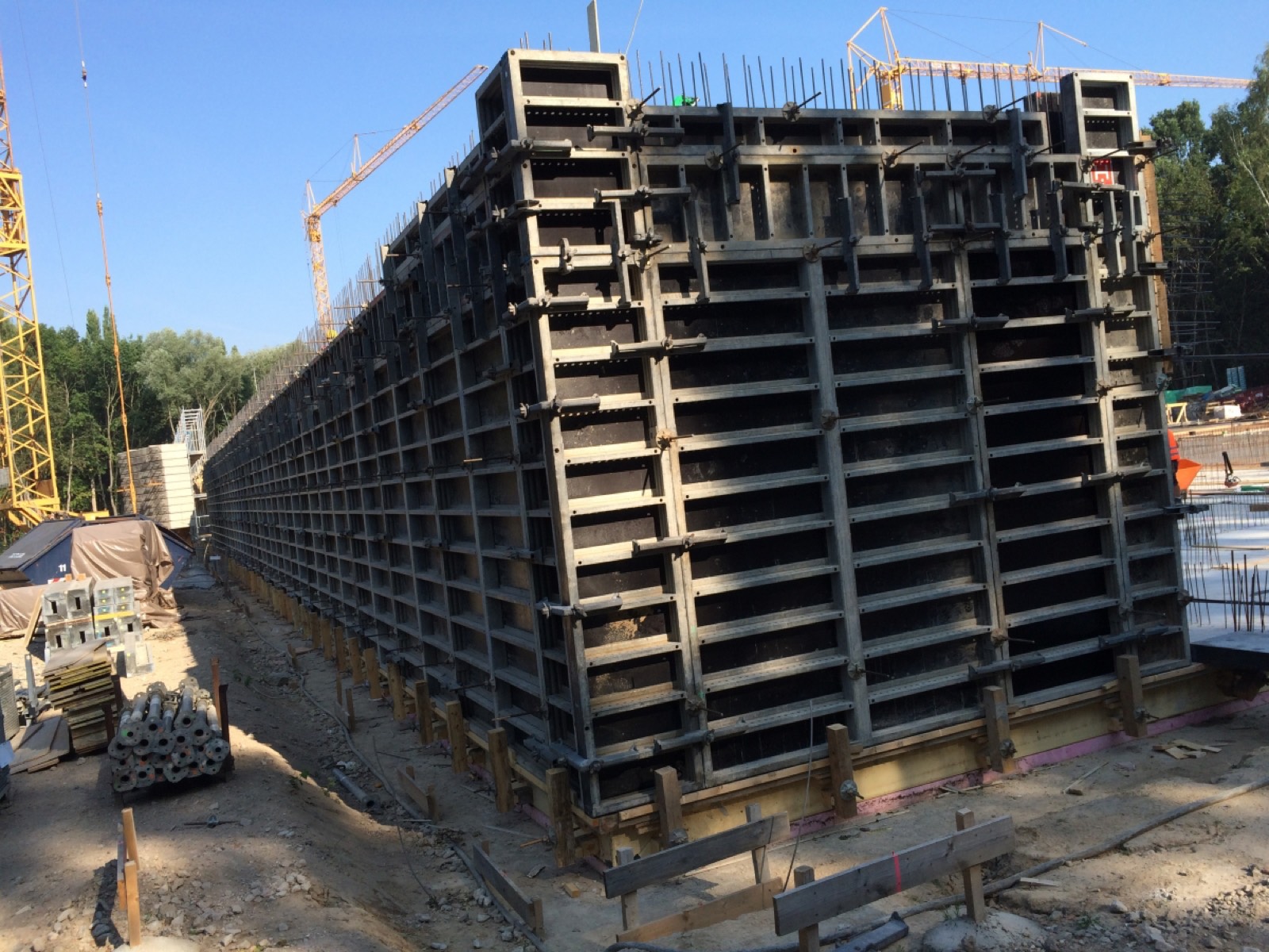 Forschungseinrichtung experimentelle Medizin – Bild 2