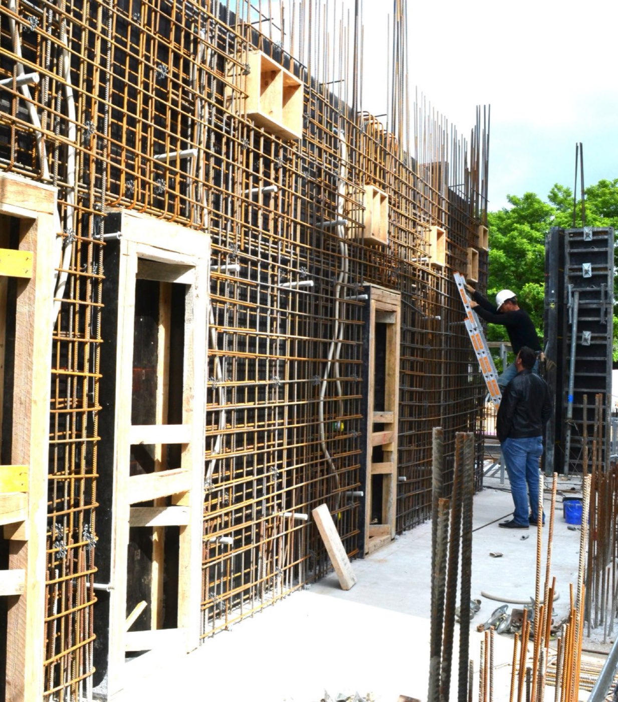 Max-Plank-Institut (Golm) – Bild 4